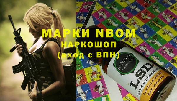 гашик Алзамай
