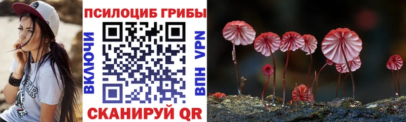 Галлюциногенные грибы GOLDEN TEACHER  Полярный 